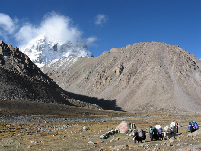Yak team carrying stuff for a western tour group. Mt. Kailash.